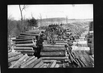 Logging, lumbering
