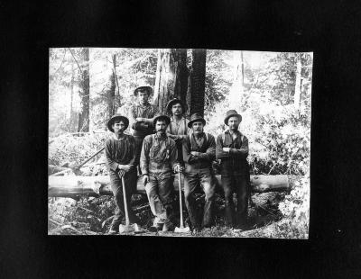 Logging, lumbering