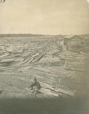 Log jam on Grand River, 1883
