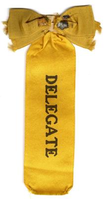 Delegate ribbon