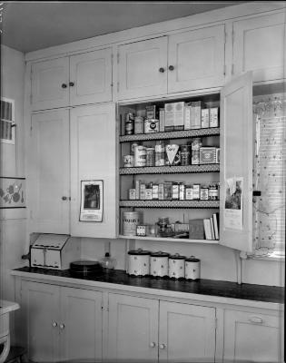 Vogt's House Shelving