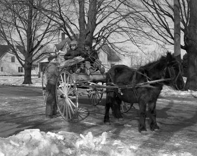 Alto, Michigan, Pony cart and children