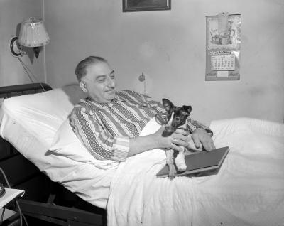 Badolenti, Thomas, dog in bed