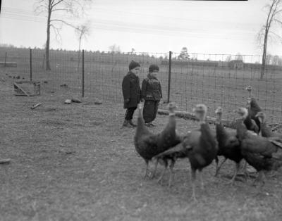 Society, children at Avery farm