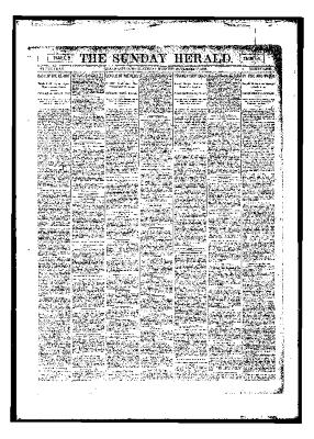 Grand Rapids Herald, Sunday, November 12, 1893