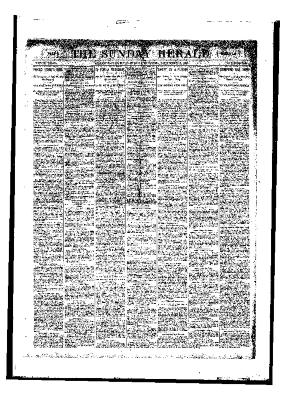 Grand Rapids Herald, Sunday, December 17, 1893