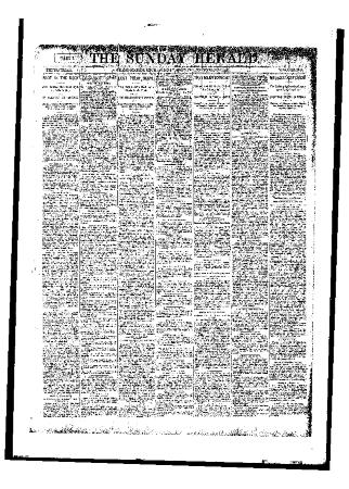 Grand Rapids Herald, Sunday, December 24, 1893