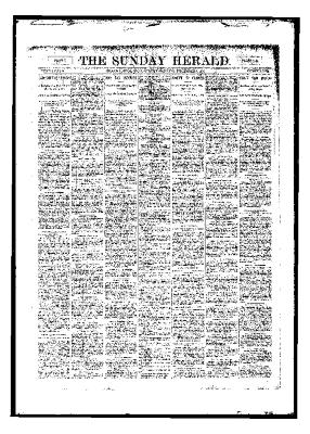 Grand Rapids Herald, Sunday, December 03, 1893