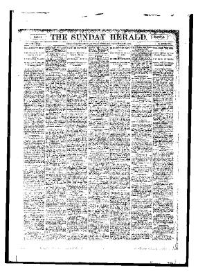 Grand Rapids Herald, Sunday, November 26, 1893