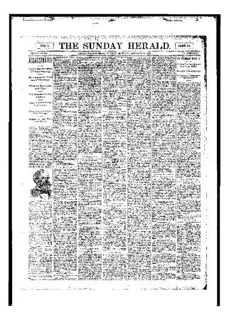 Issue of Grand Rapids Herald for Sunday, October 29, 1893
